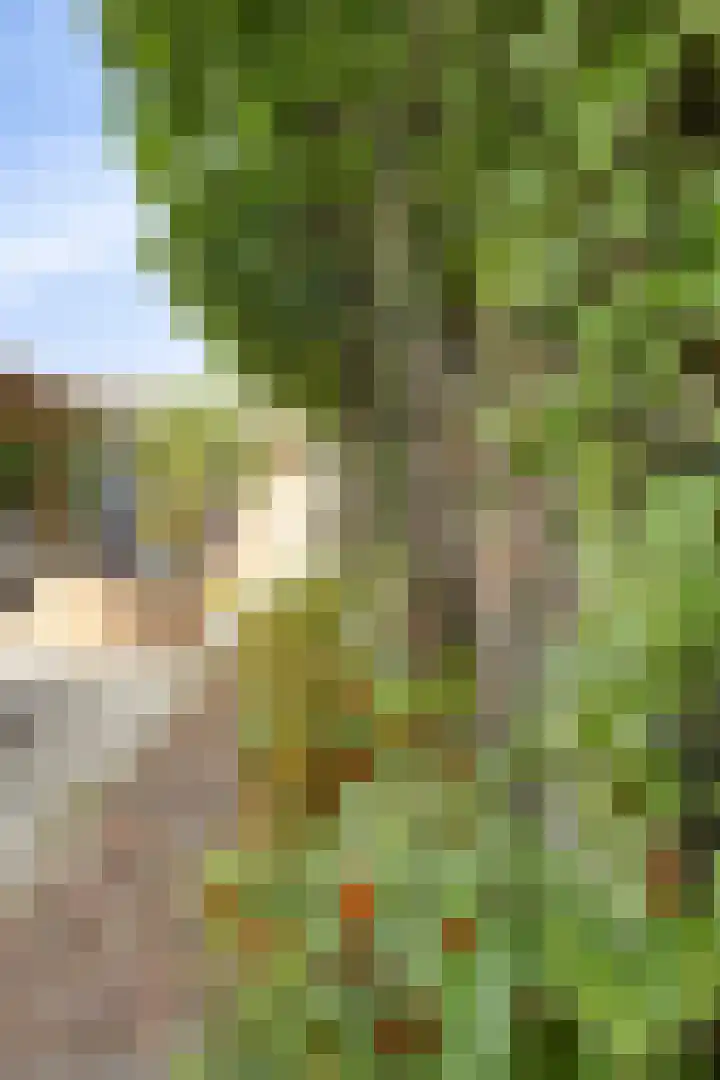 Grachtstraat 9 Brunssum thumbnail 65