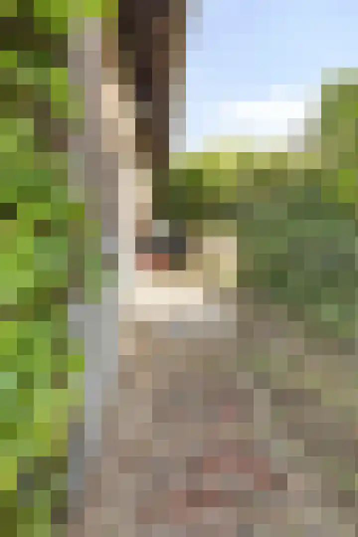 Grachtstraat 9 Brunssum thumbnail 66