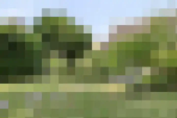 Grachtstraat 9 Brunssum thumbnail 68