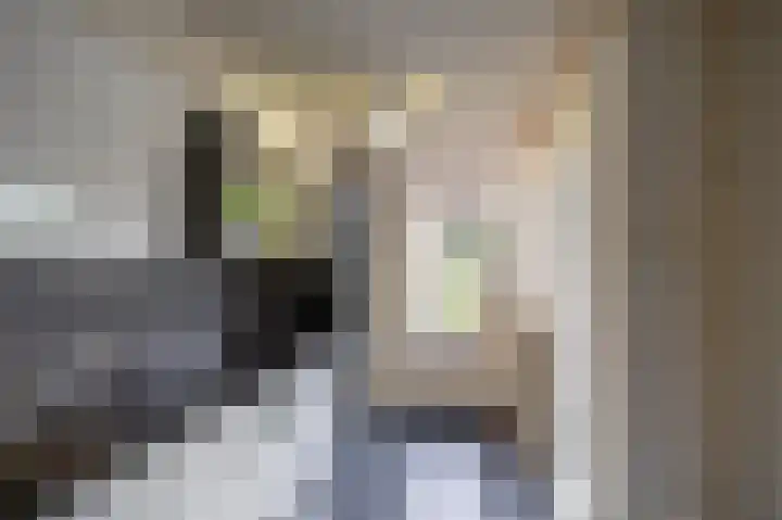 Grachtwal 1 Haren Gn thumbnail 11