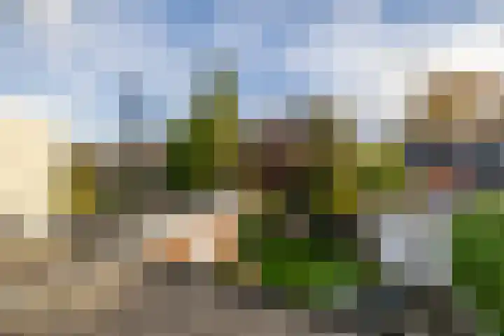 Grachtwal 1 Haren Gn thumbnail 23