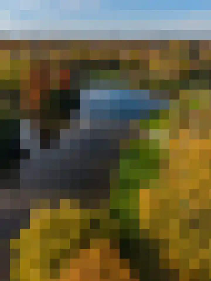 Grachtwal 1 Haren Gn thumbnail 38