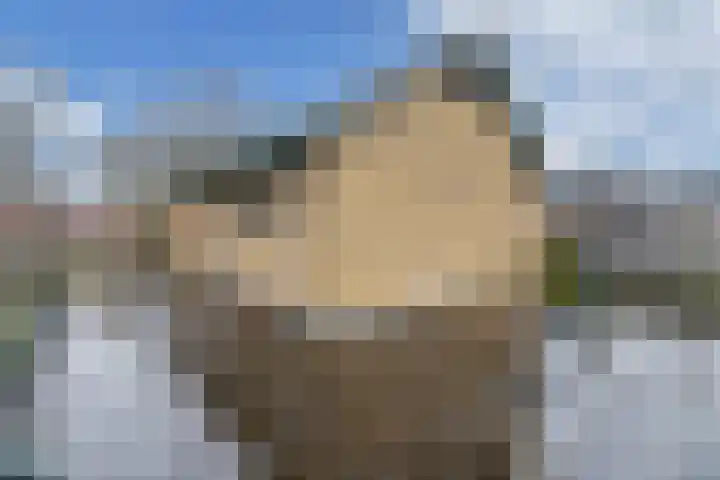 Grachtwal 29 Marknesse thumbnail 21