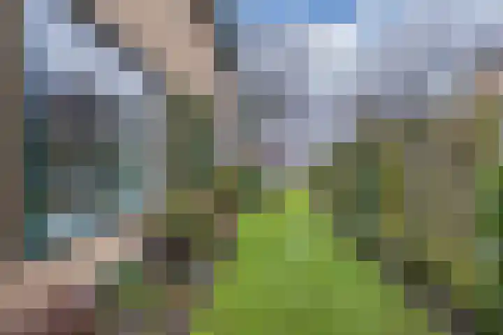 Grachtwal 29 Marknesse thumbnail 37