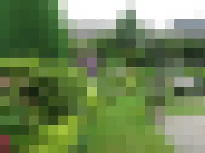 Grachtwal 29 Marknesse thumbnail 40