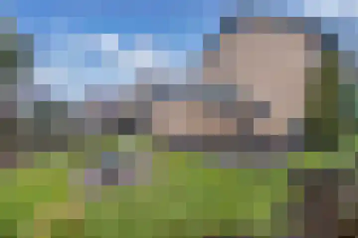 Grachtwal 29 Marknesse thumbnail 42