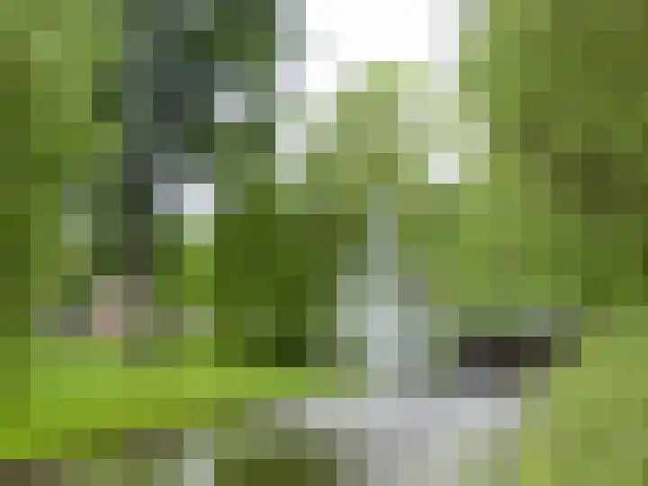 Grachtwal 29 Marknesse thumbnail 54