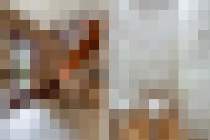 Grachtwal 29 Marknesse thumbnail 9