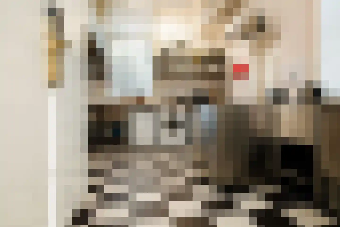 Grachtweg 2 Lisse thumbnail 24