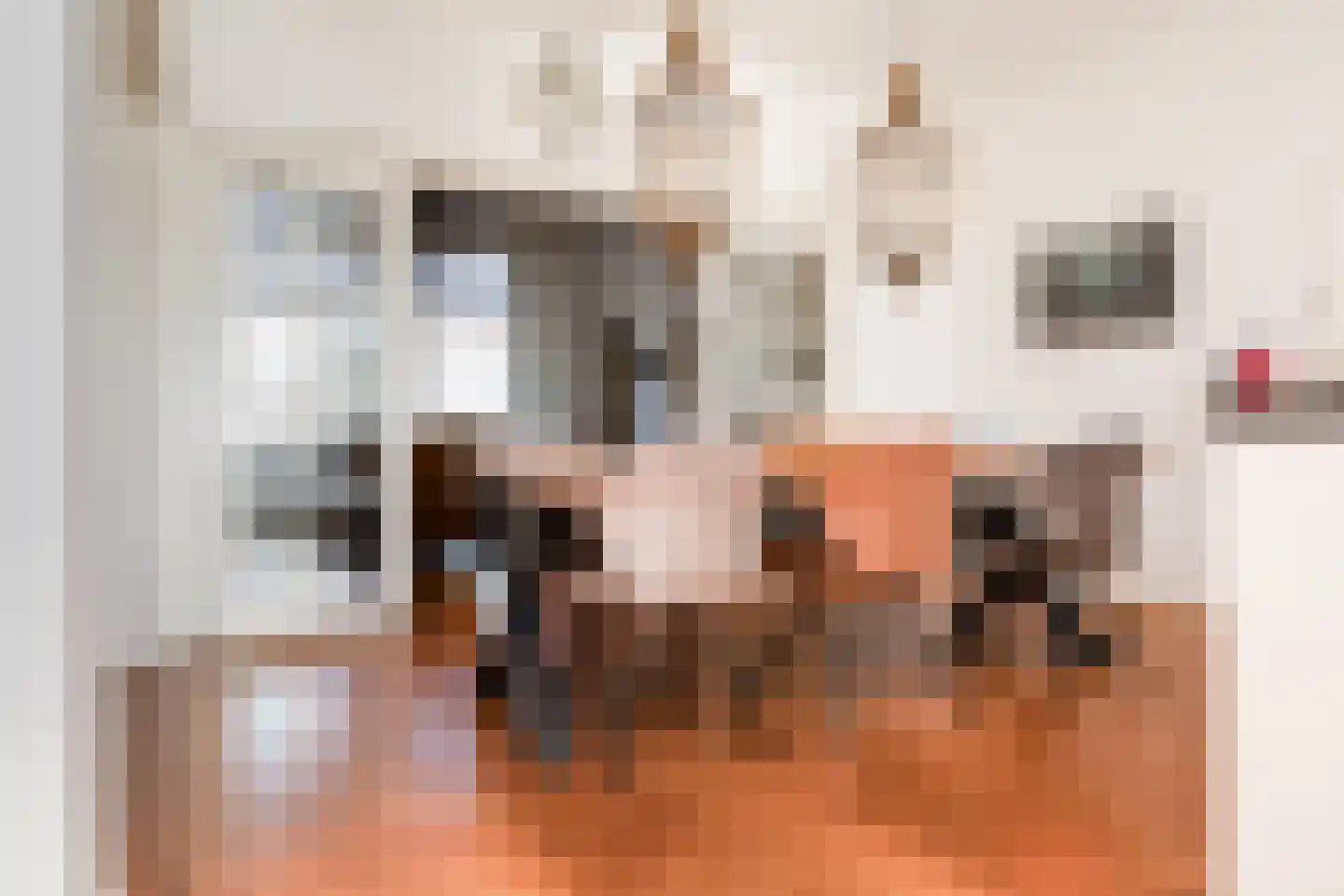 Grachtweg 2 Lisse thumbnail 40