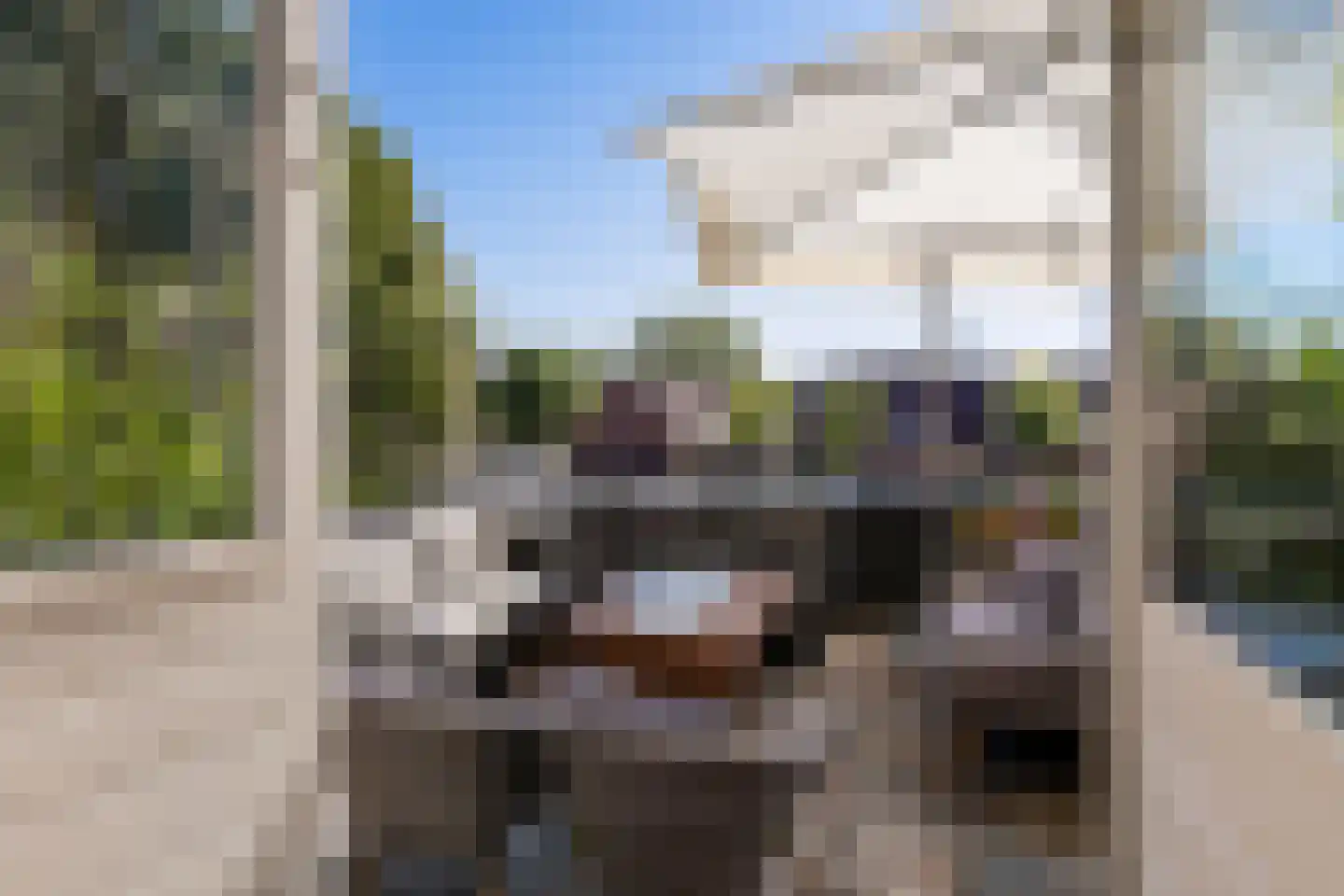 Grachtweg 2 Lisse thumbnail 6