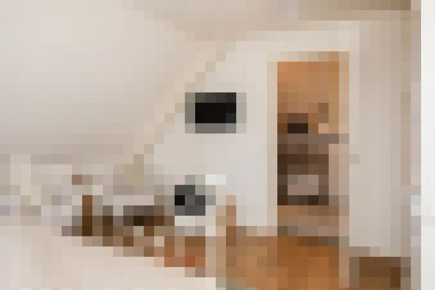 Grachtweg 2 Lisse thumbnail 85