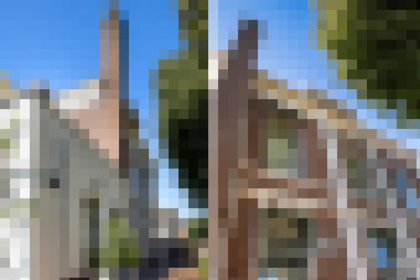 Grachtweg 2 Lisse thumbnail 99