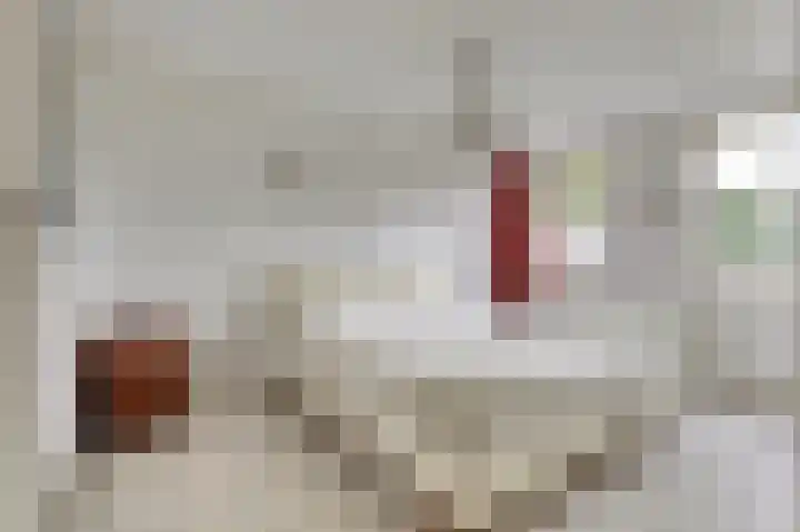 Grachtweg 3 Zierikzee thumbnail 17