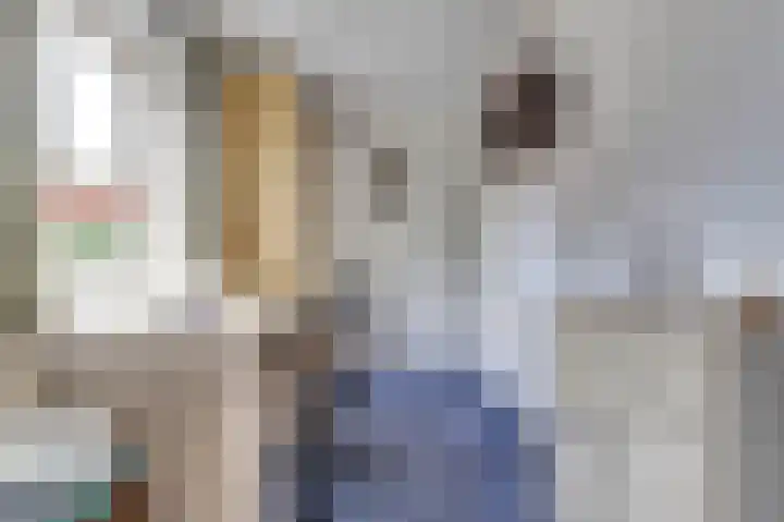 Grachtweg 3 Zierikzee thumbnail 22