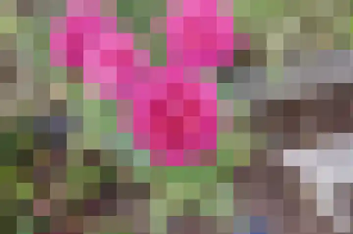 Grachtweg 3 Zierikzee thumbnail 31