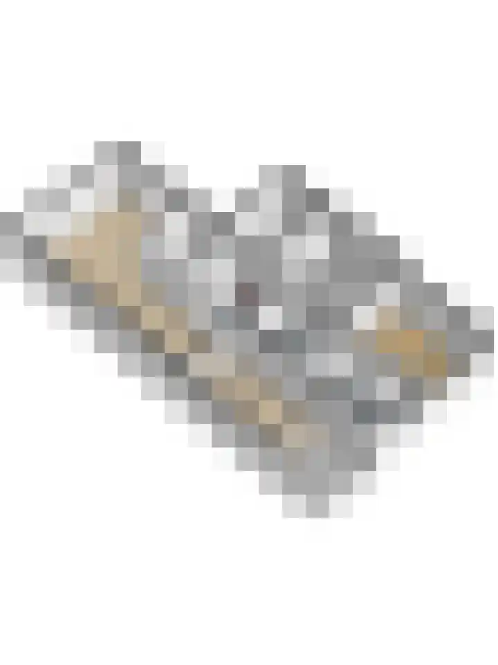Grachtweg 3 Zierikzee thumbnail 35