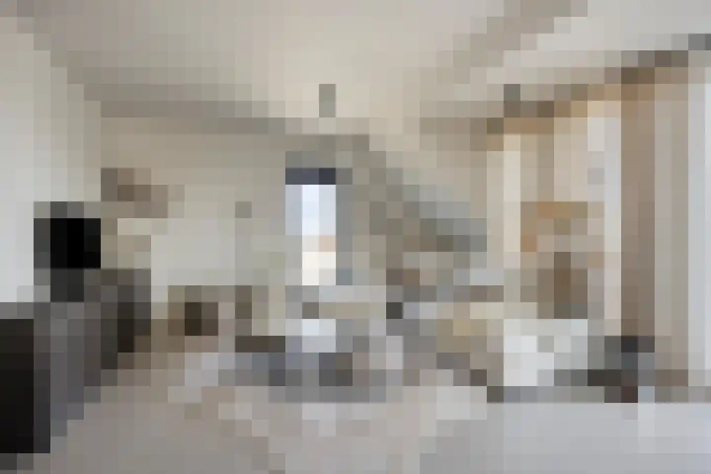 Grachtweg 69 B Lisse thumbnail 13