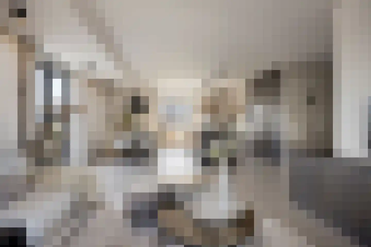 Grachtweg 69 B Lisse thumbnail 14