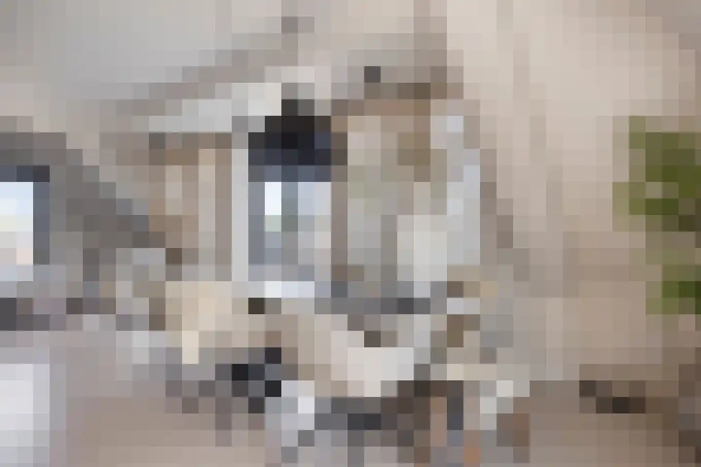 Grachtweg 69 B Lisse thumbnail 17