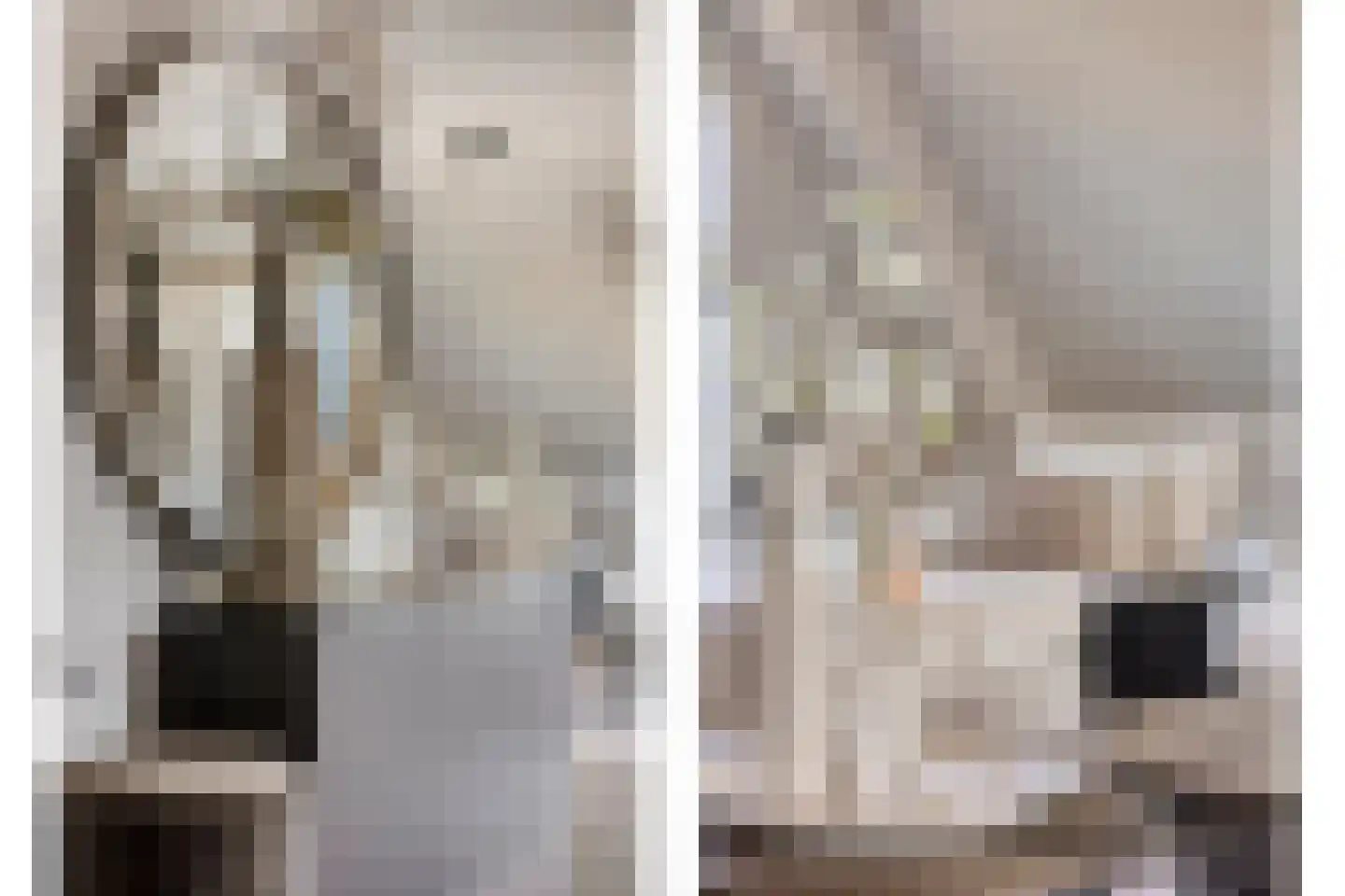 Grachtweg 69 B Lisse thumbnail 18