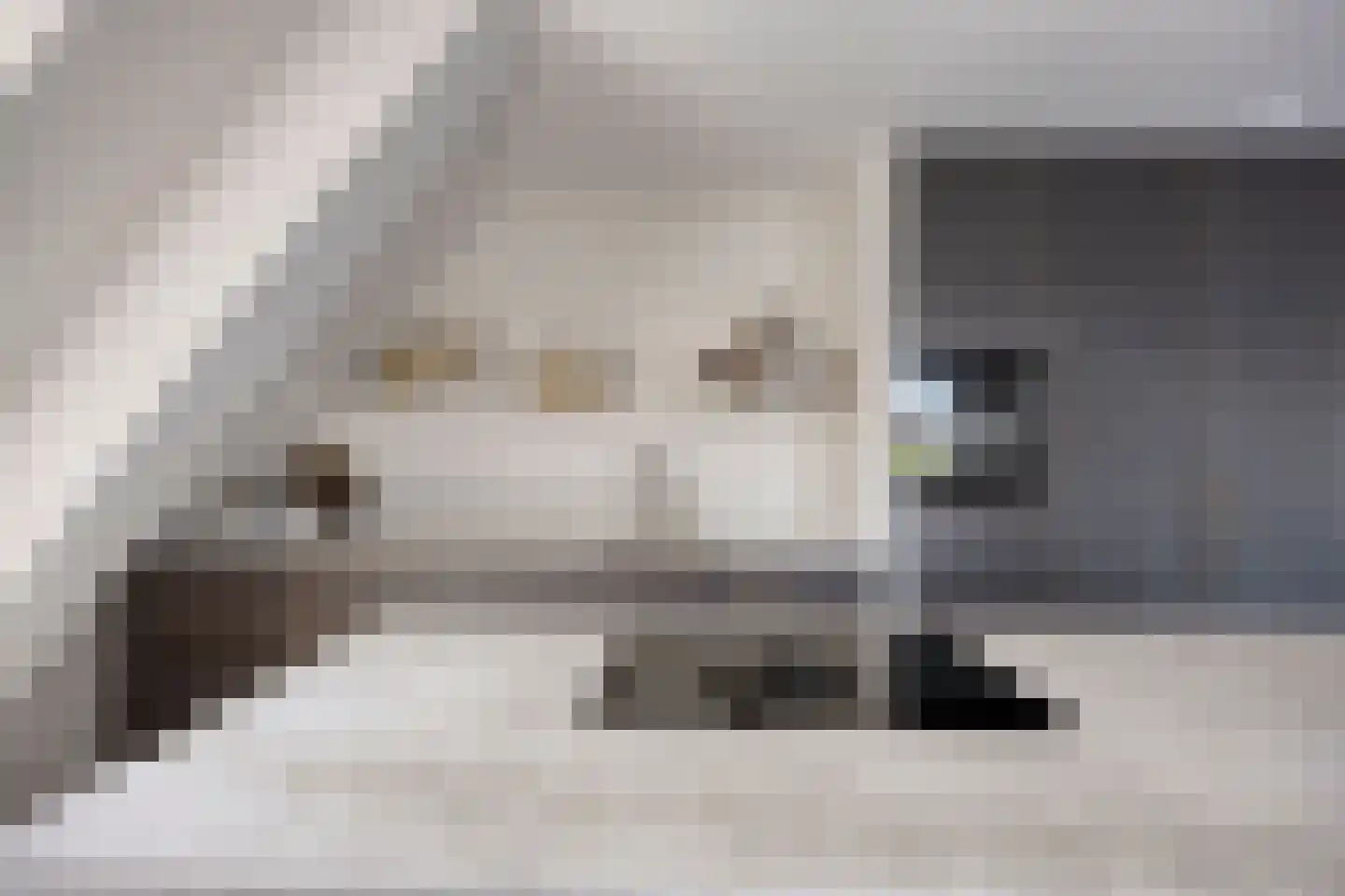 Grachtweg 69 B Lisse thumbnail 19