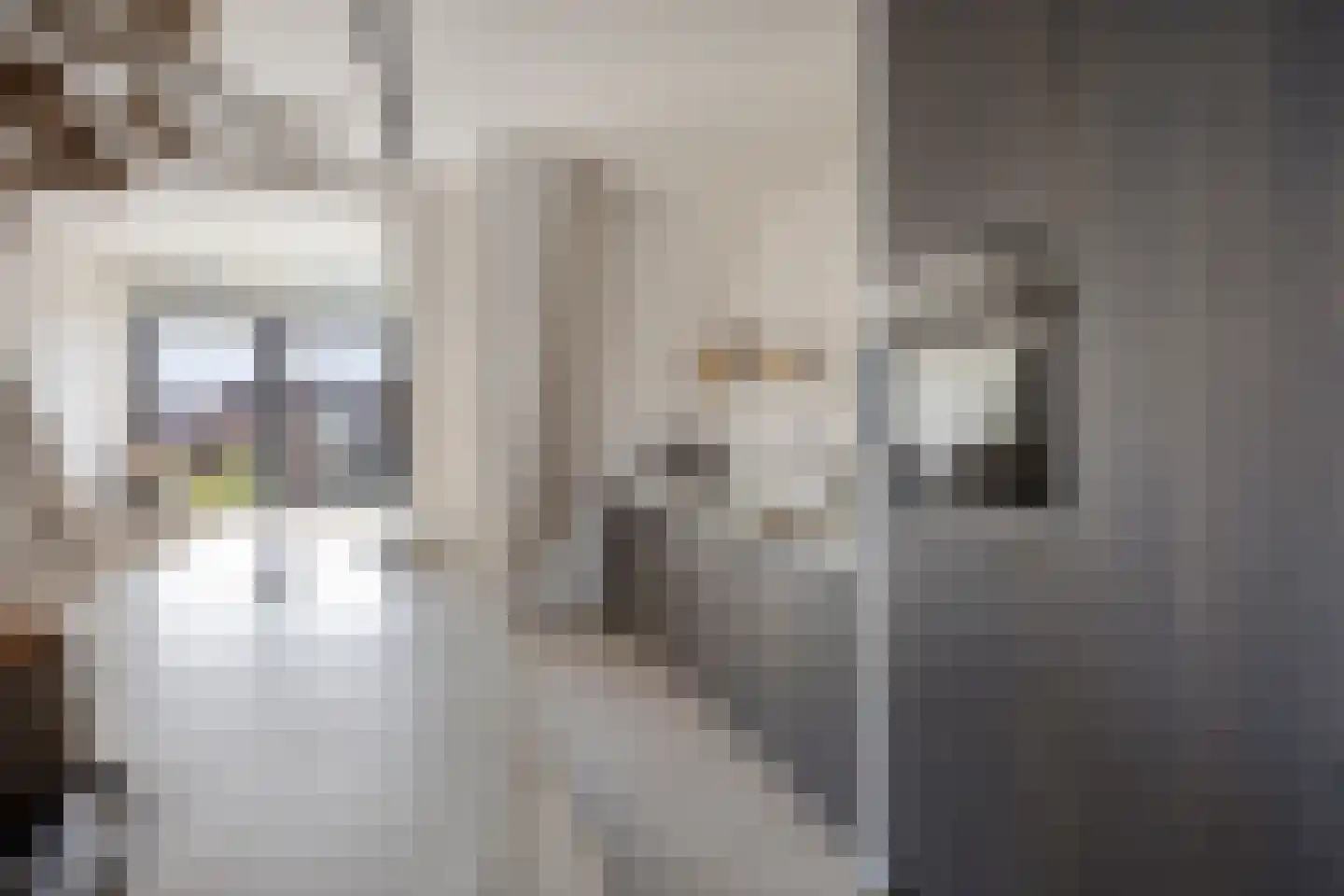 Grachtweg 69 B Lisse thumbnail 21