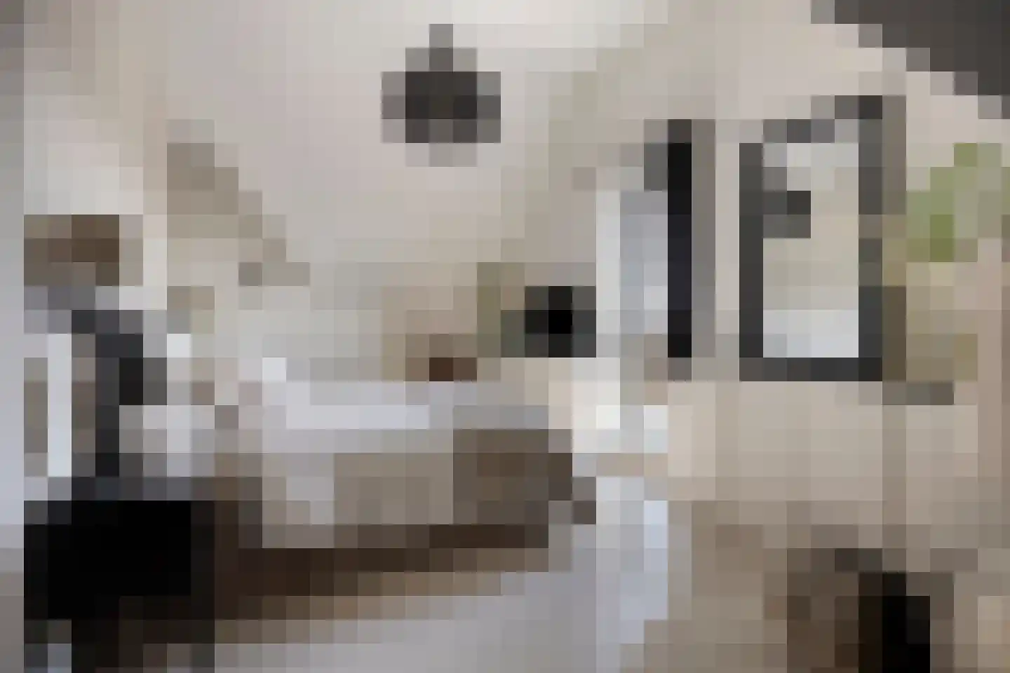 Grachtweg 69 B Lisse thumbnail 24