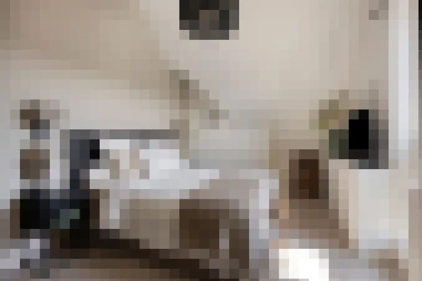 Grachtweg 69 B Lisse thumbnail 25