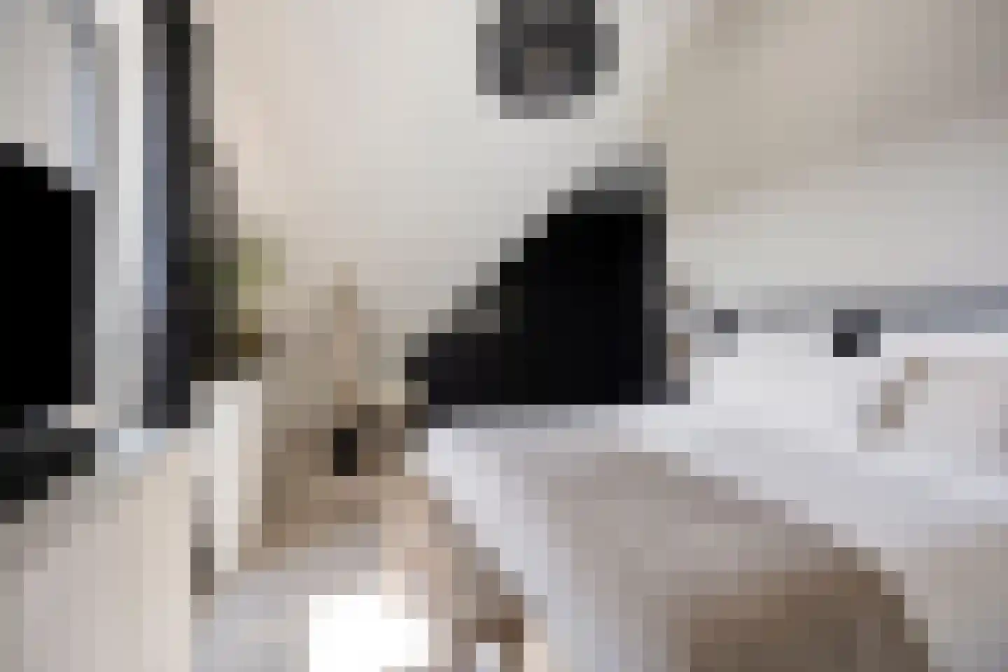 Grachtweg 69 B Lisse thumbnail 26