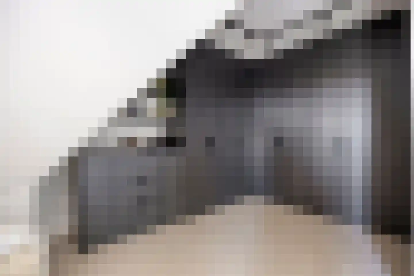 Grachtweg 69 B Lisse thumbnail 27