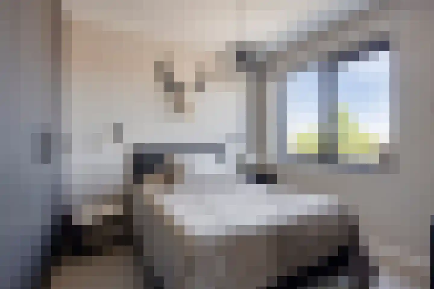 Grachtweg 69 B Lisse thumbnail 33