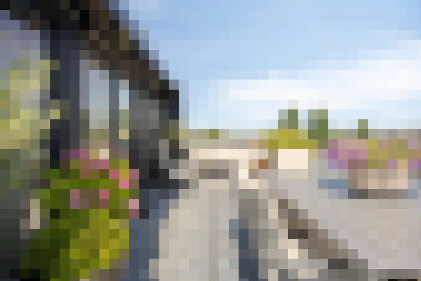 Grachtweg 69 B Lisse thumbnail 37