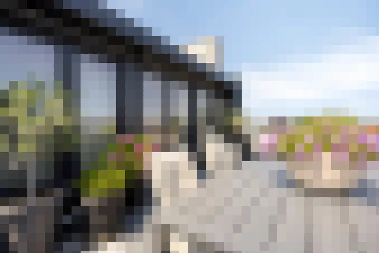 Grachtweg 69 B Lisse thumbnail 38