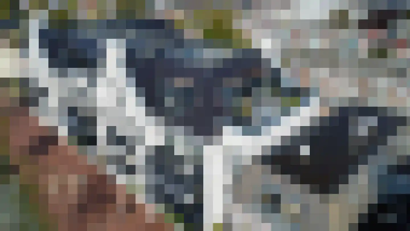 Grachtweg 69 B Lisse thumbnail 40
