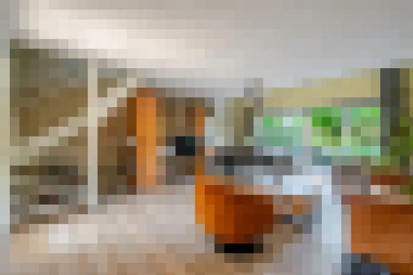 Grada Vleemingstraat 13 Rheden thumbnail 11