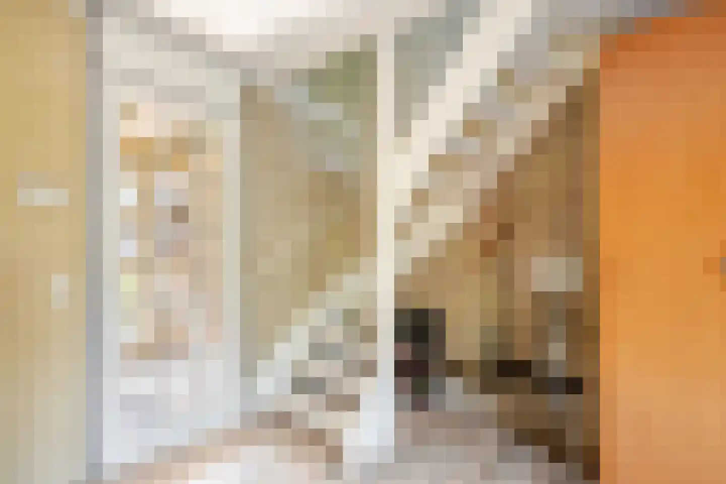 Grada Vleemingstraat 13 Rheden thumbnail 12