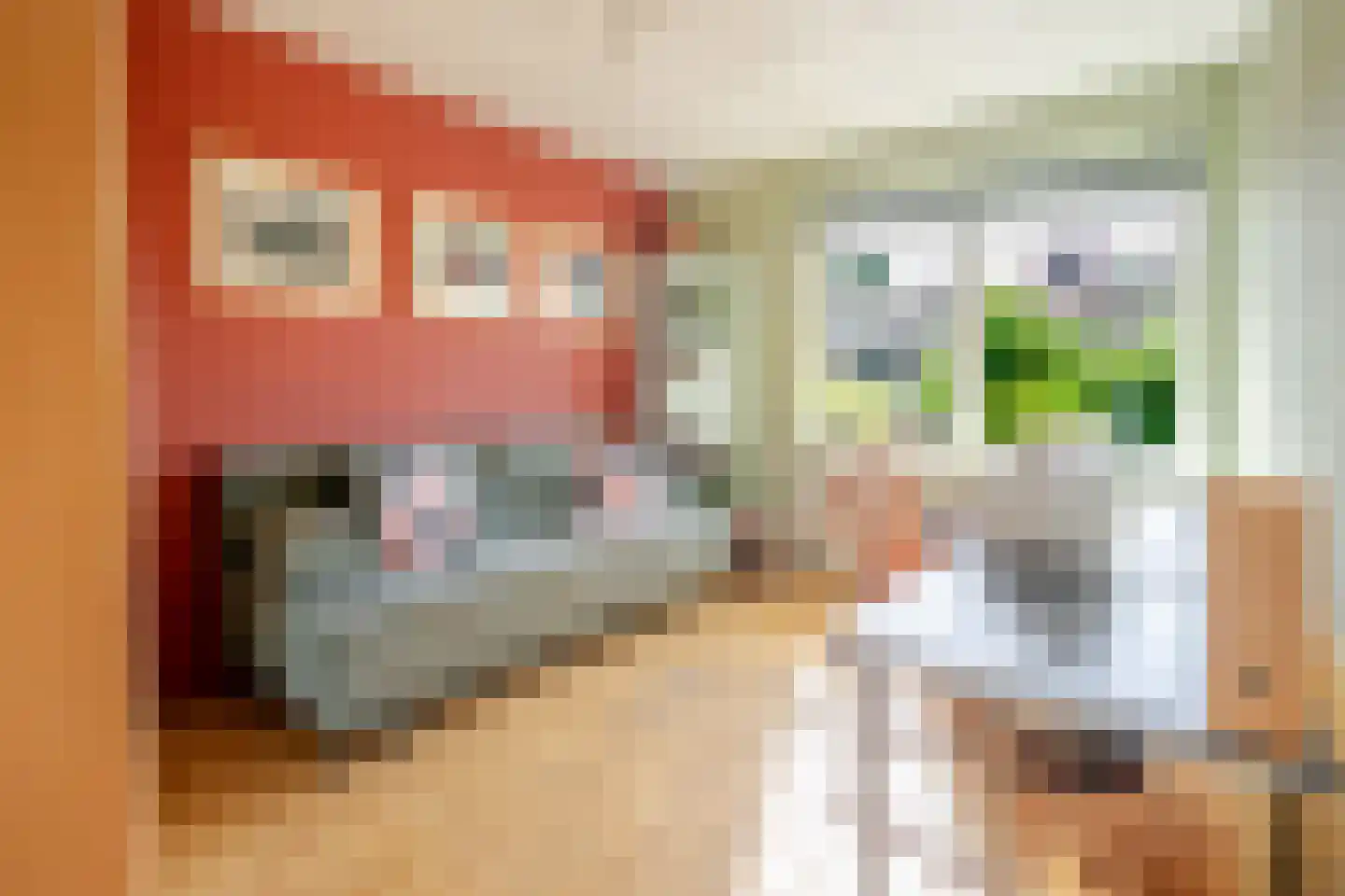 Grada Vleemingstraat 13 Rheden thumbnail 16