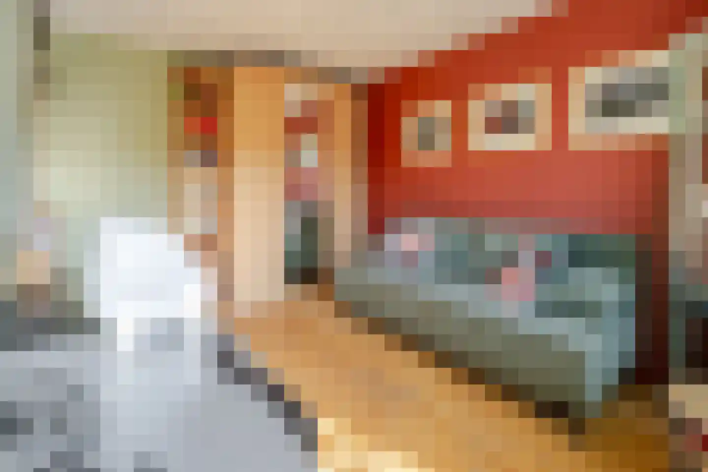 Grada Vleemingstraat 13 Rheden thumbnail 17