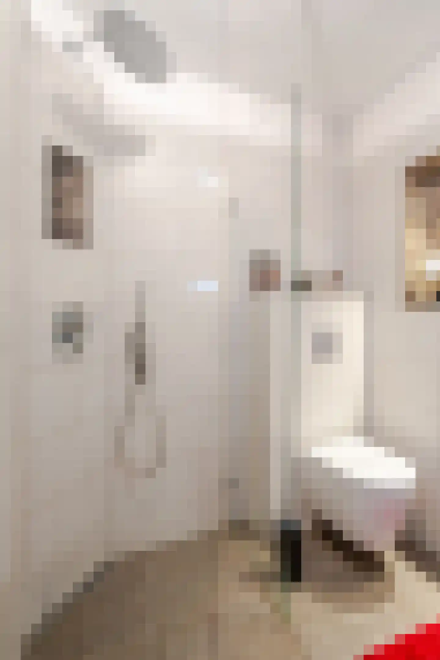 Grada Vleemingstraat 13 Rheden thumbnail 20