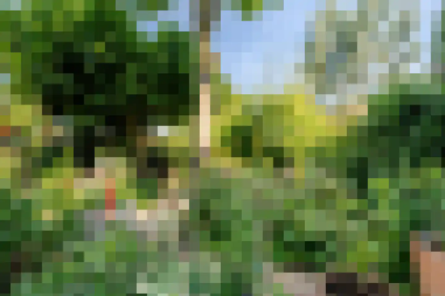 Grada Vleemingstraat 13 Rheden thumbnail 31