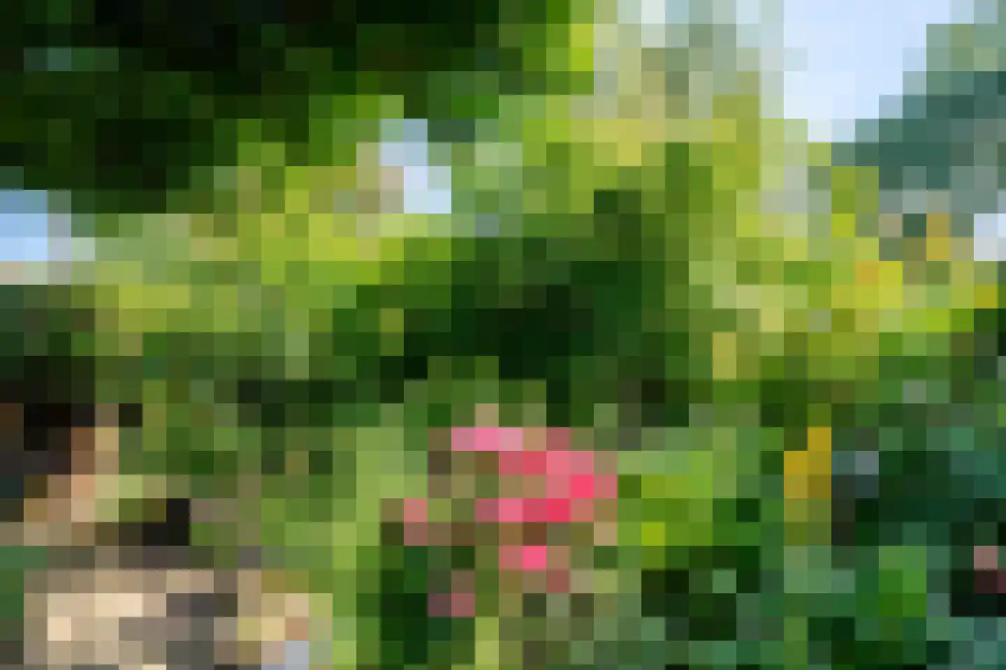 Grada Vleemingstraat 13 Rheden thumbnail 32