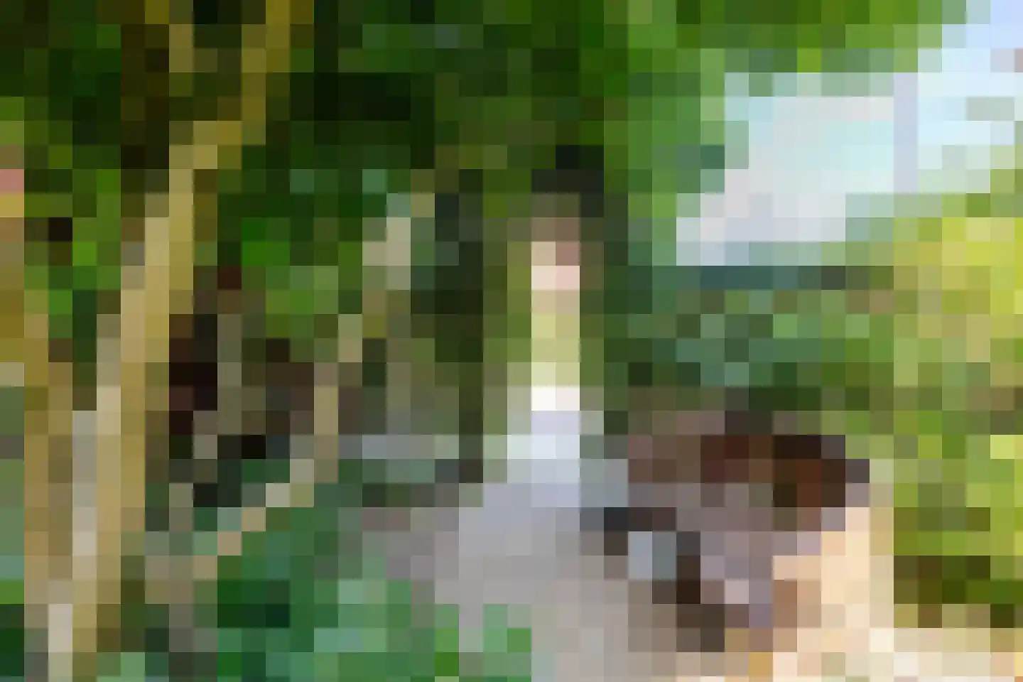 Grada Vleemingstraat 13 Rheden thumbnail 33