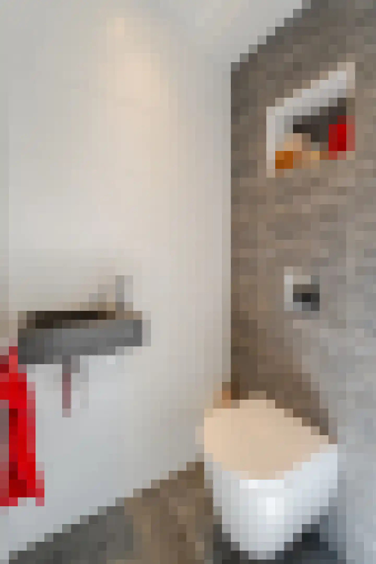 Grada Vleemingstraat 13 Rheden thumbnail 4