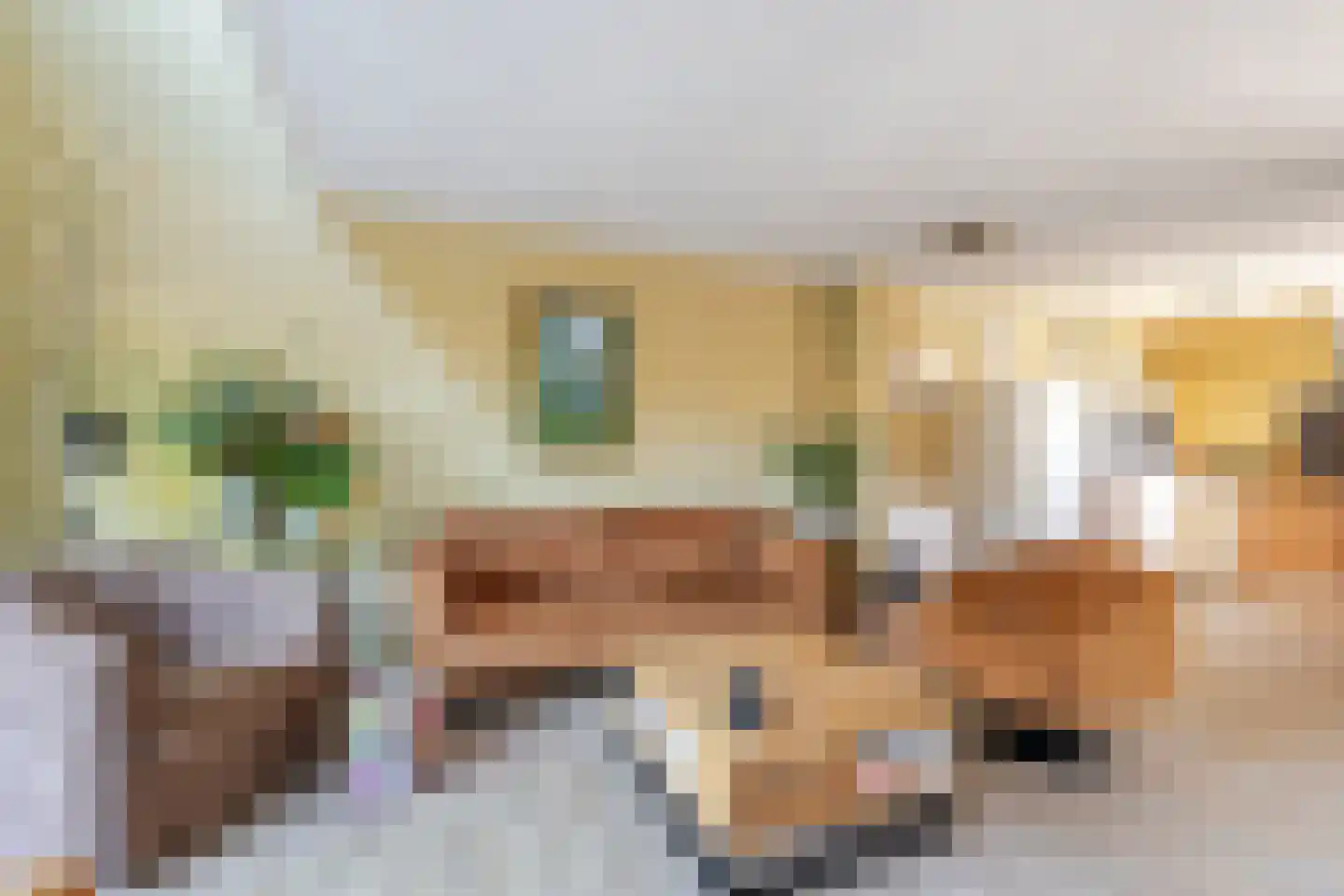 Grada Vleemingstraat 13 Rheden thumbnail 6