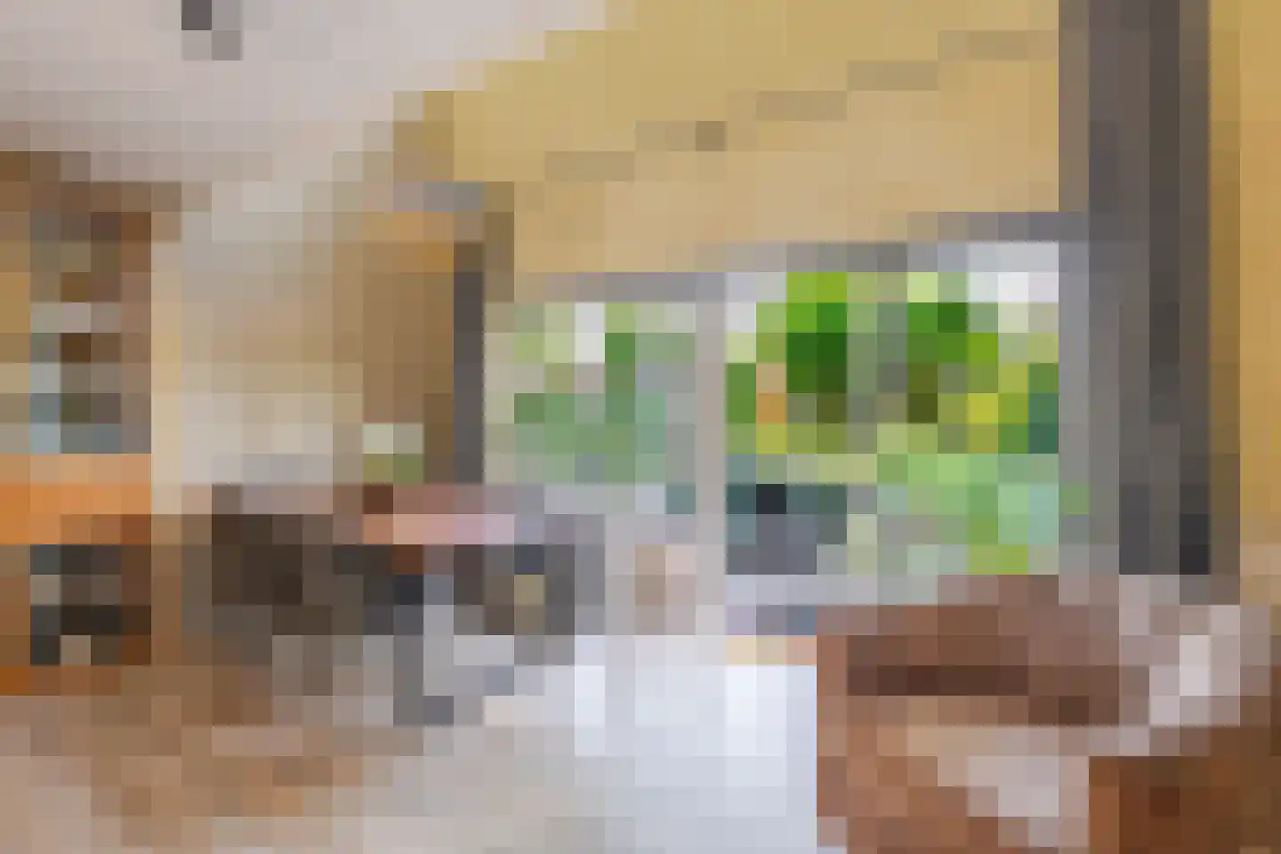 Grada Vleemingstraat 13 Rheden thumbnail 7