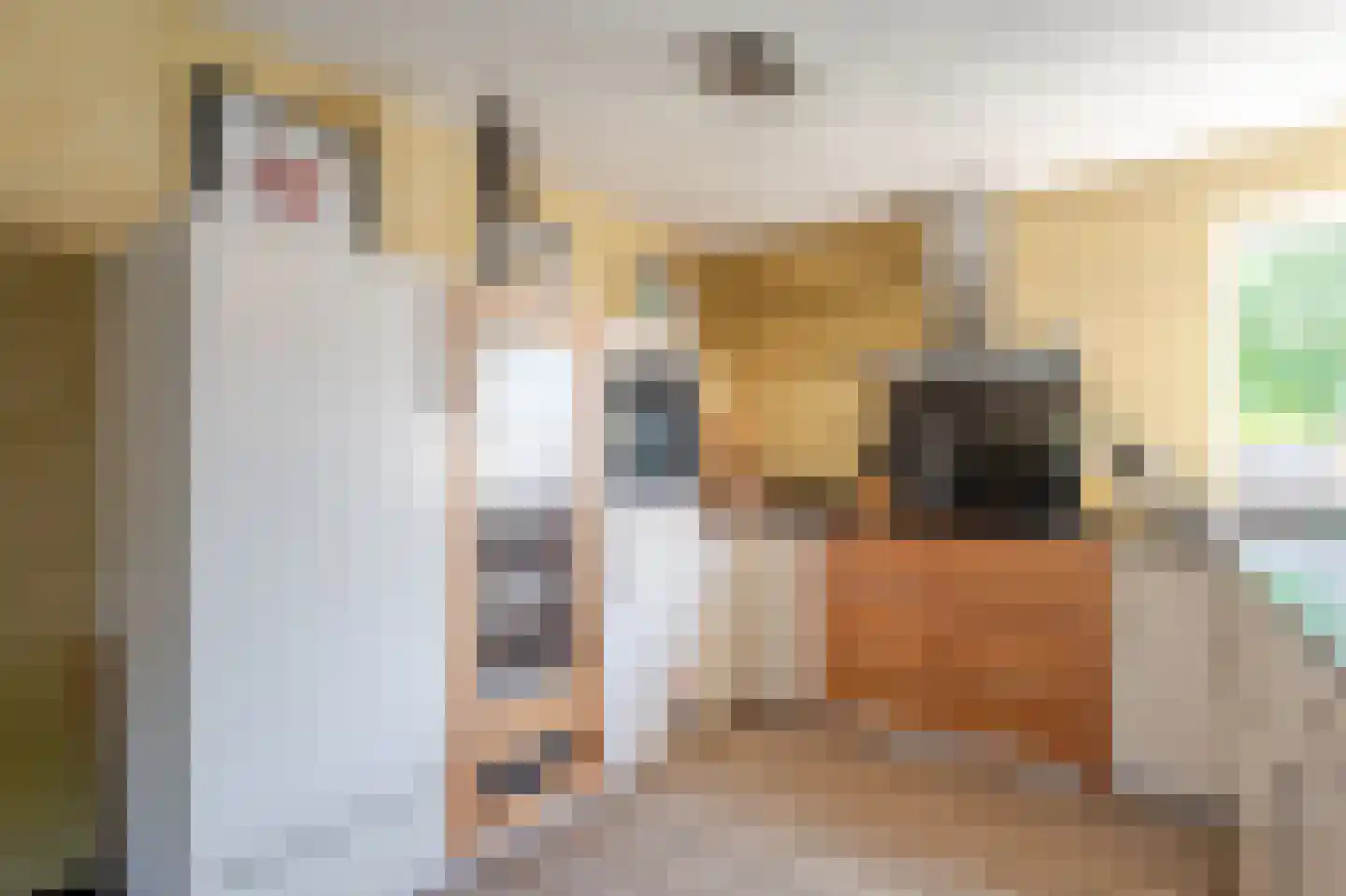 Grada Vleemingstraat 13 Rheden thumbnail 9