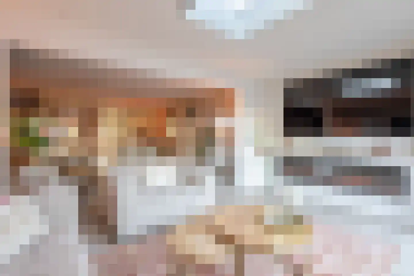 Grada Vleemingstraat 19 Rheden thumbnail 11