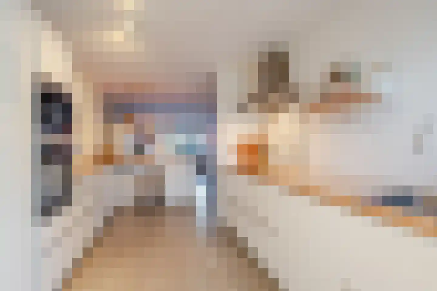 Grada Vleemingstraat 19 Rheden thumbnail 16