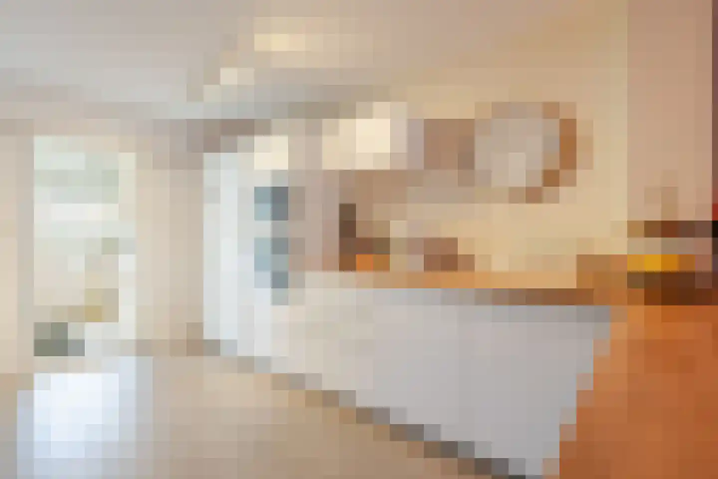 Grada Vleemingstraat 19 Rheden thumbnail 18